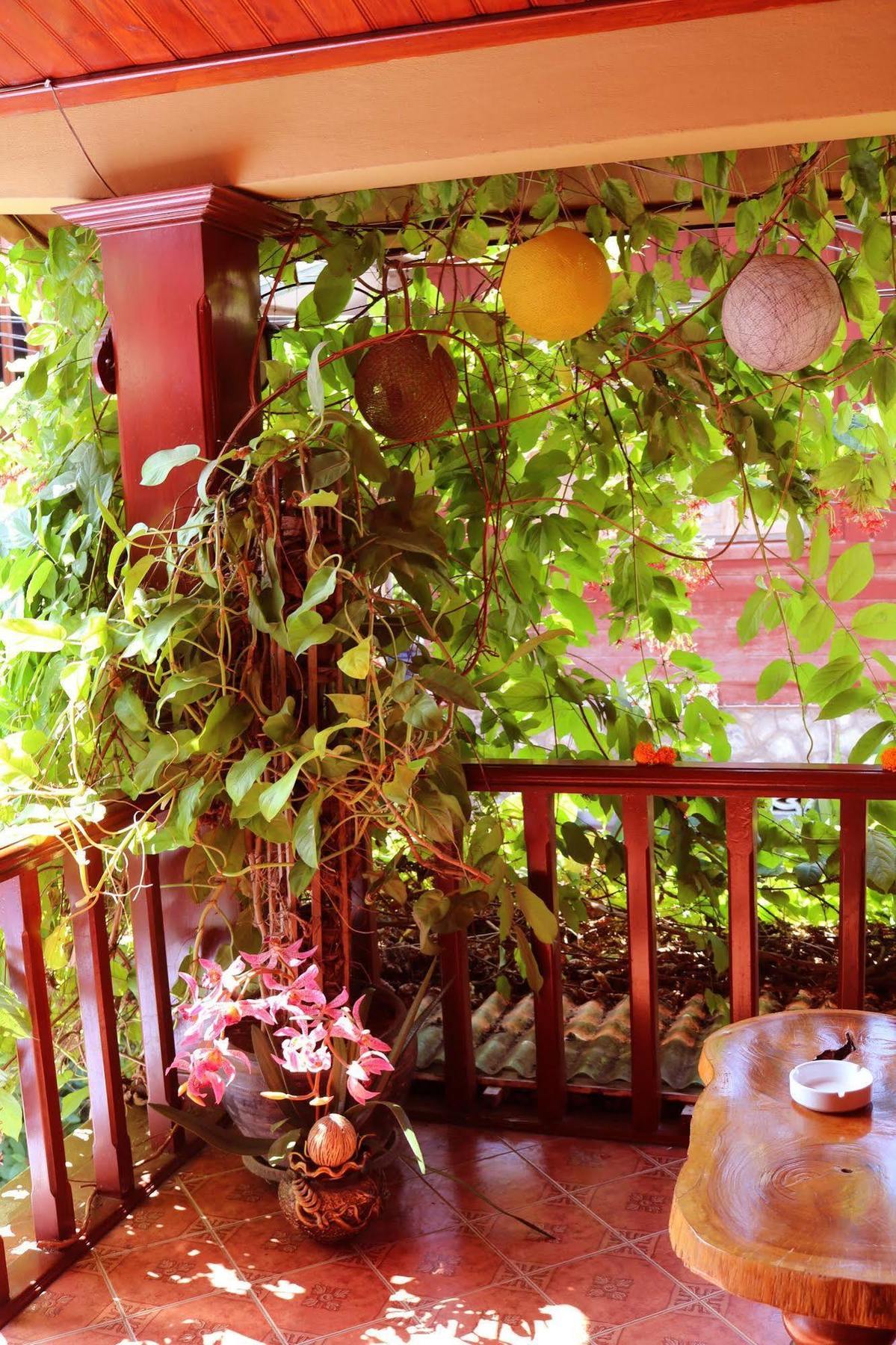 Apple Guesthouse Luang Prabang Esterno foto